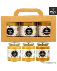 Zestaw miodów smakowych | MANGO CYTRYNA POMARAŃCZA | 3 x 370g
