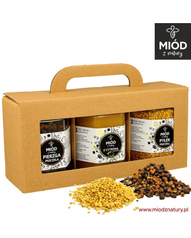 Zestaw prezentowy z PIERZGĄ, miodem z CYTRYNĄ i z PYŁKIEM pszczelim