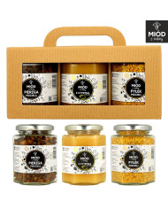 Zestaw prezentowy z PIERZGĄ, miodem z CYTRYNĄ i z PYŁKIEM pszczelim