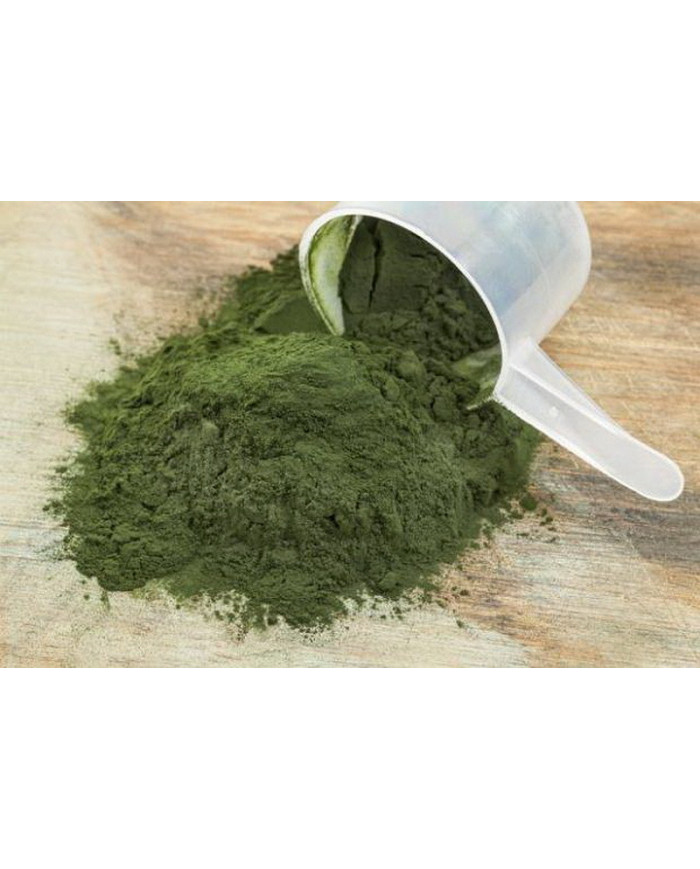 Miód Naturalny z Liofilizowaną Spiruliną