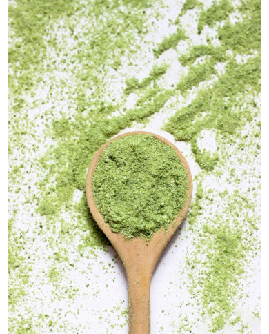 Miód Naturalny z Liofilizowaną Miętą